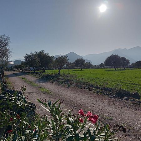Agriturismo Sa Murta Доргали Экстерьер фото