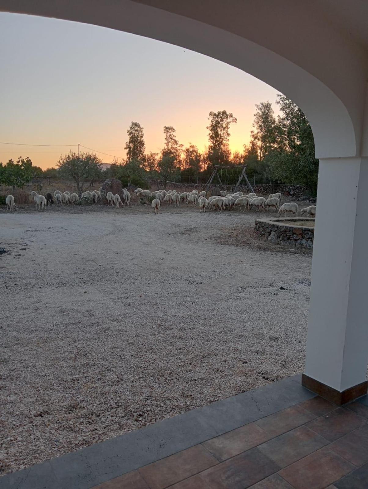 Agriturismo Sa Murta Доргали Экстерьер фото