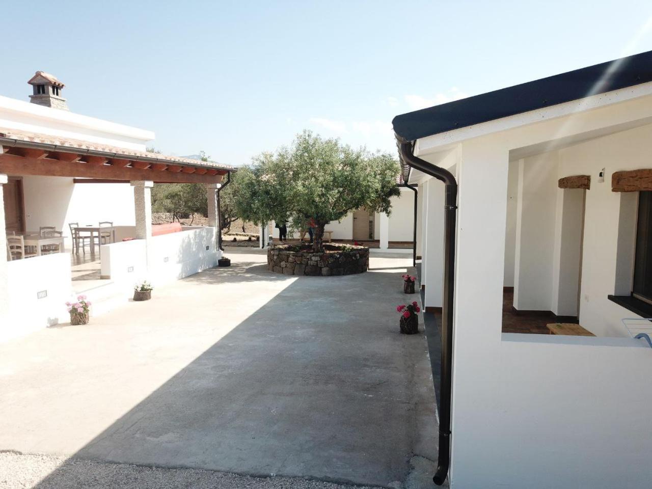 Agriturismo Sa Murta Доргали Экстерьер фото