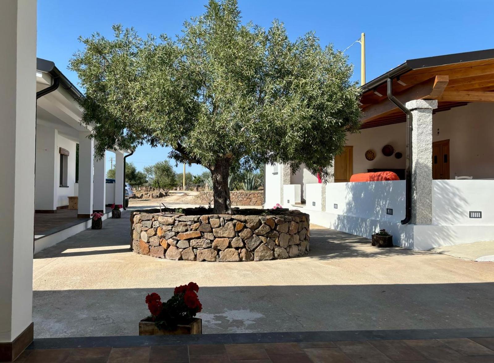 Agriturismo Sa Murta Доргали Экстерьер фото